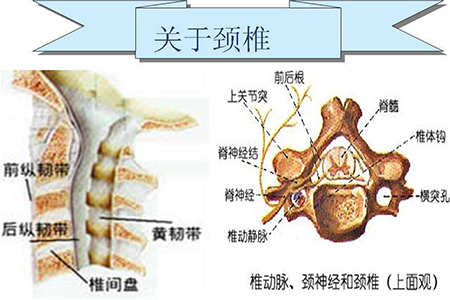 颈椎病的五大典型症状